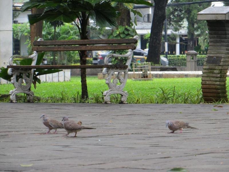 Barkah Place Jakarta Eksteriør bilde